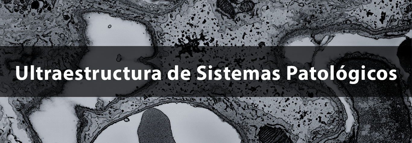 Portada 3
