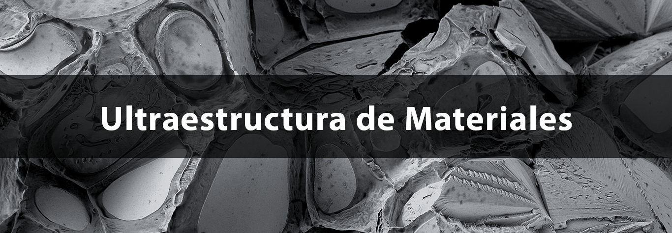 Portada 4